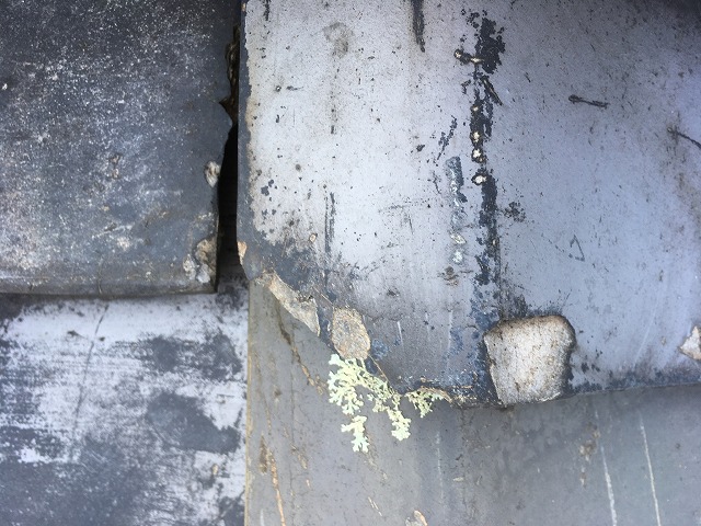 雨漏りトラブルもご相談ください